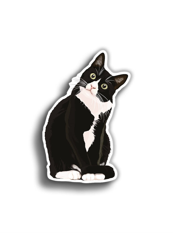 Kedi 11x7 cm Sticker