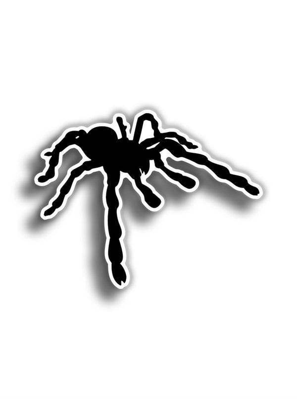 Örümcek Siyah 10x8 cm Sticker