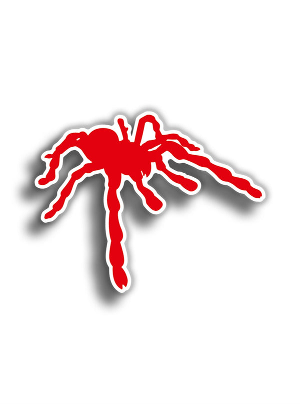 Örümcek 10x8 cm Sticker
