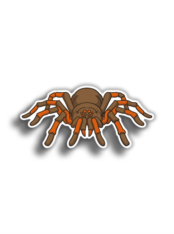 Örümcek 14x7 cm Sticker
