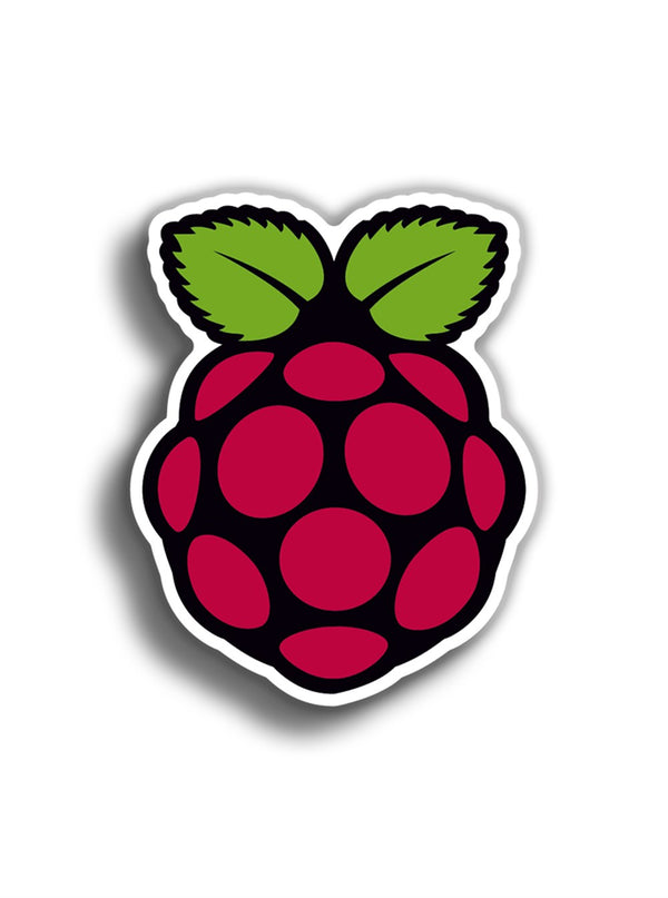 Raspberry 9x7 cm Sticker